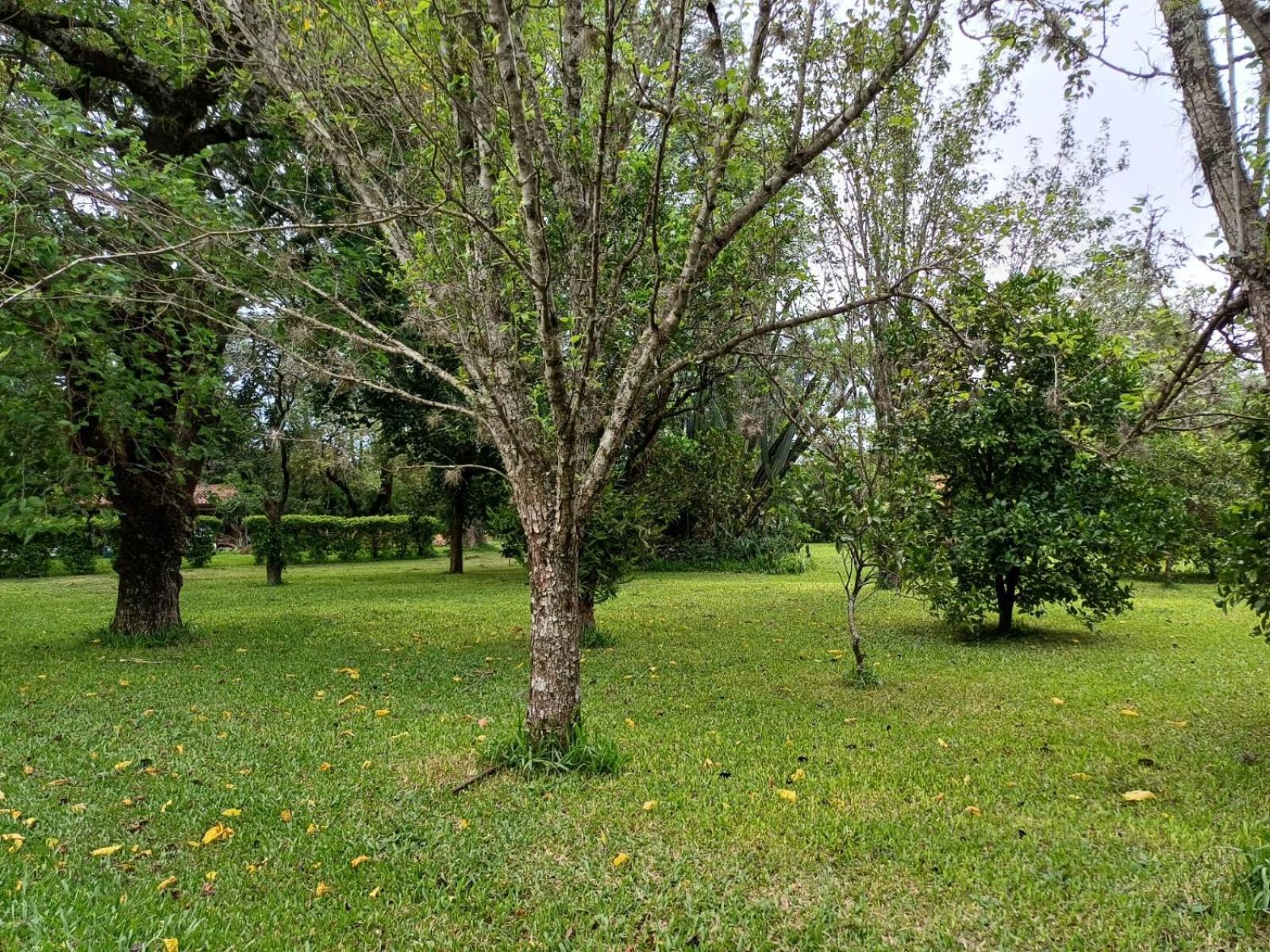 Chacara Rosa Cortiana Acomodação com café da manhã São Gabriel Exterior foto
