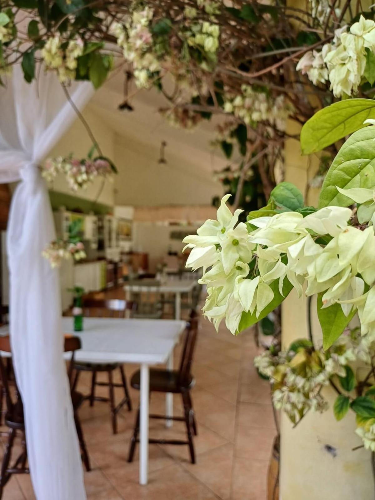 Chacara Rosa Cortiana Acomodação com café da manhã São Gabriel Exterior foto